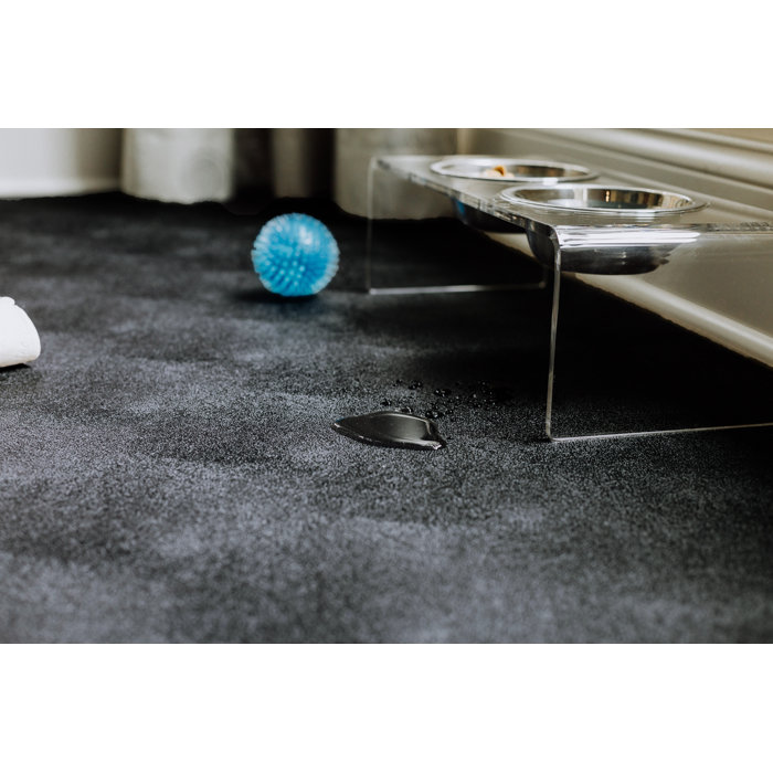 GFloor Levant Pet Flooring Protector & Reviews Wayfair